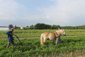 img_2090